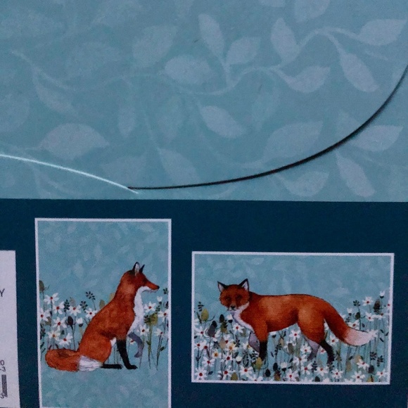 New FOX 20 pc Blank Card Set - Picture 2 of 3